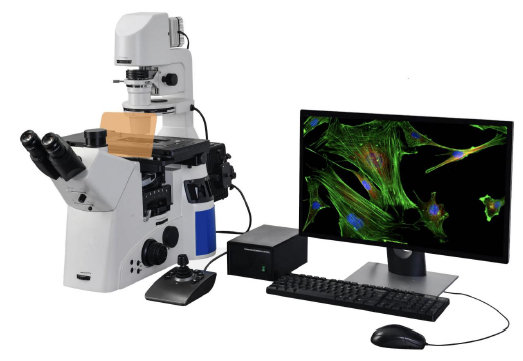 Флуоресцентный инвертированный исследовательский микроскоп ICOE IB930FL