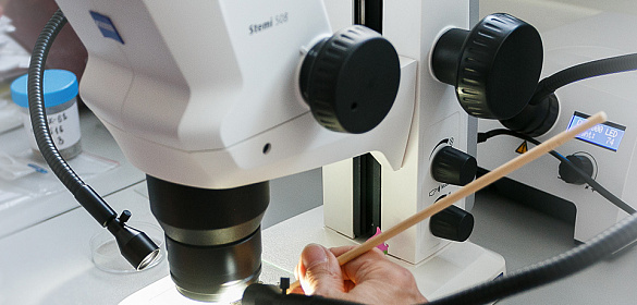 Прямой исследовательский микроскоп Carl Zeiss Axioscope 5