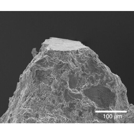 Ультрамикротом Leica EM UC7 / EM FC7
