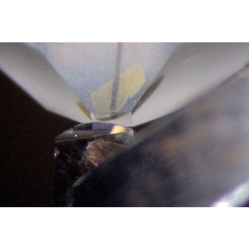 Leica EM TRIM2 / Leica Rapid