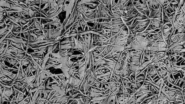 Синеркон: Морфология поверхности особо мягкой туалетной бумаги