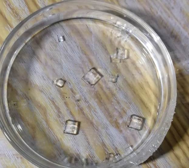 Снимок со сканирующего электронного микроскопа LANSEM 30