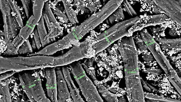 Синеркон: Морфология поверхности офисной бумаги А4
