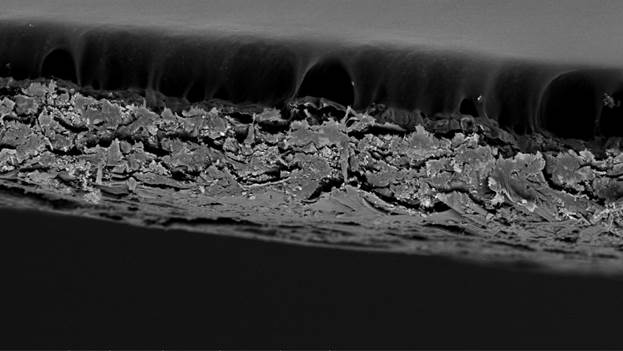 Синеркон: Поперечная морфология офисной бумаги А4