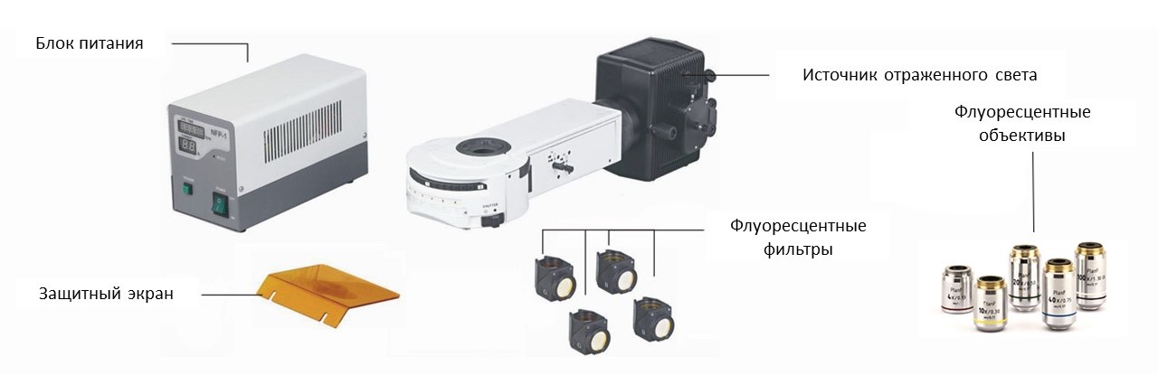 схема к микроскопу IB900FL