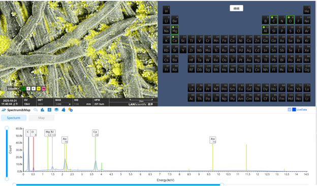 EDS‑спектр и псевдоцветная карта распределения элементов для А4‑бумаги, содержащей Ca