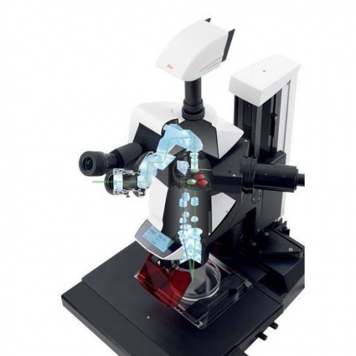 Исследовательские стереомикроскопы Leica M125 M165 M205